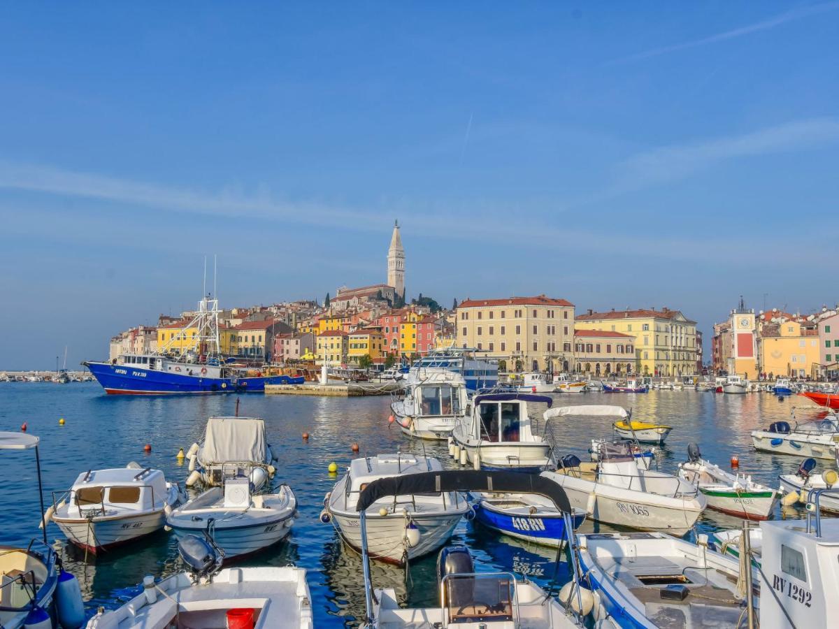 Apartment Pinezic - Roj117 By Interhome Rovinj Kültér fotó