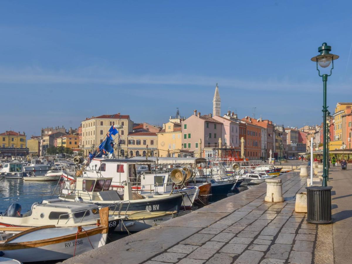 Apartment Pinezic - Roj117 By Interhome Rovinj Kültér fotó